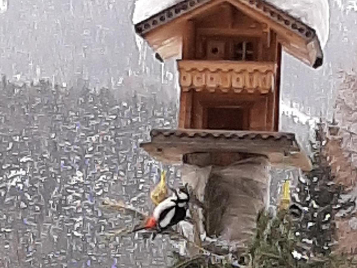 Pension Fuerhapter Mit Bio- Bauernhof Sankt Jakob in Defereggen Buitenkant foto