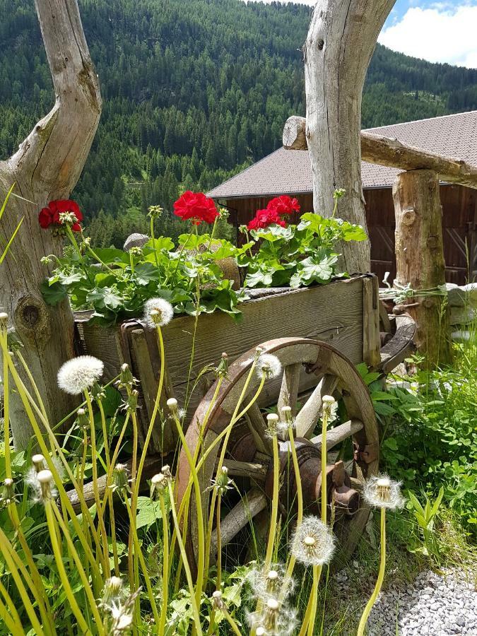 Pension Fuerhapter Mit Bio- Bauernhof Sankt Jakob in Defereggen Buitenkant foto